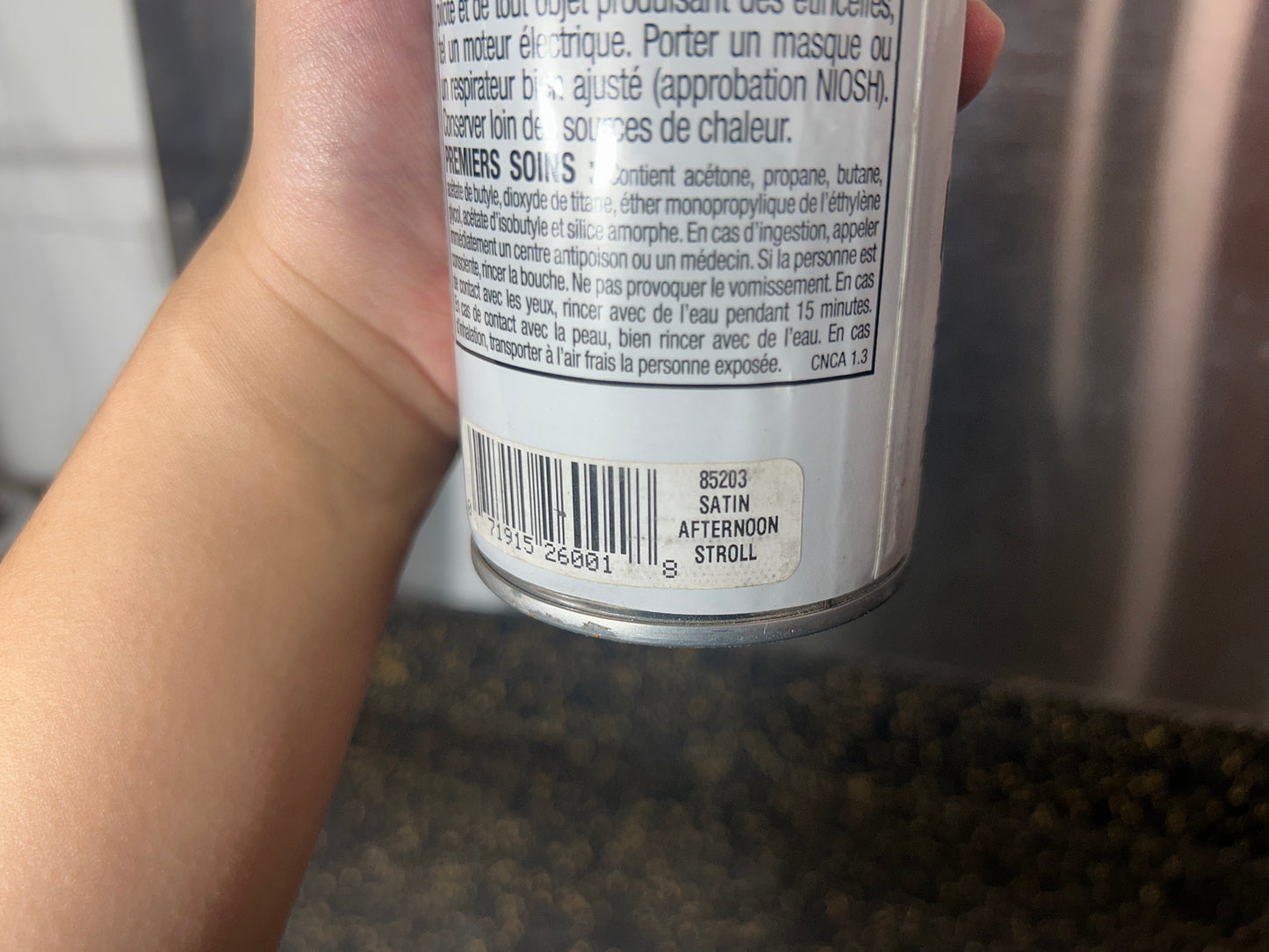 Valspar Satin Spray Paint and Primer (Afternoon Stroll, 340g)