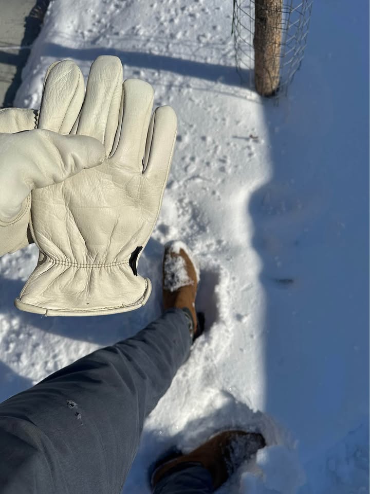 Watson Canadian Outsider Cowhide Leather Work Gloves